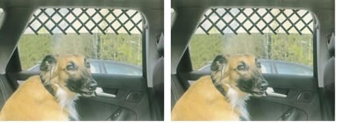 Zoie + Chloe Extra Large Car & Truck Window Pet Gate (Pack of 2)
