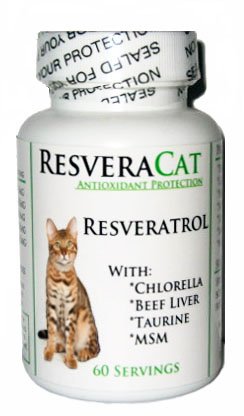 ResveraCat Anti Aging Cat Formula 99% Trans Resveratrol Powder, MSM, Taurine, Chlorella, Beef Liver