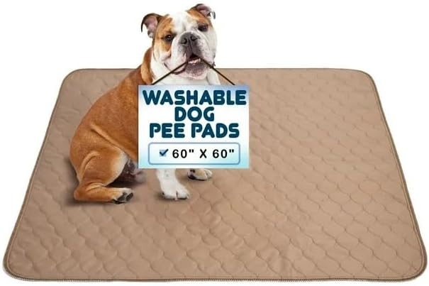 EZwhelp Reusable Dog Pee Pads, Washable Waterproof Mat 60x60 in, 1-Pack