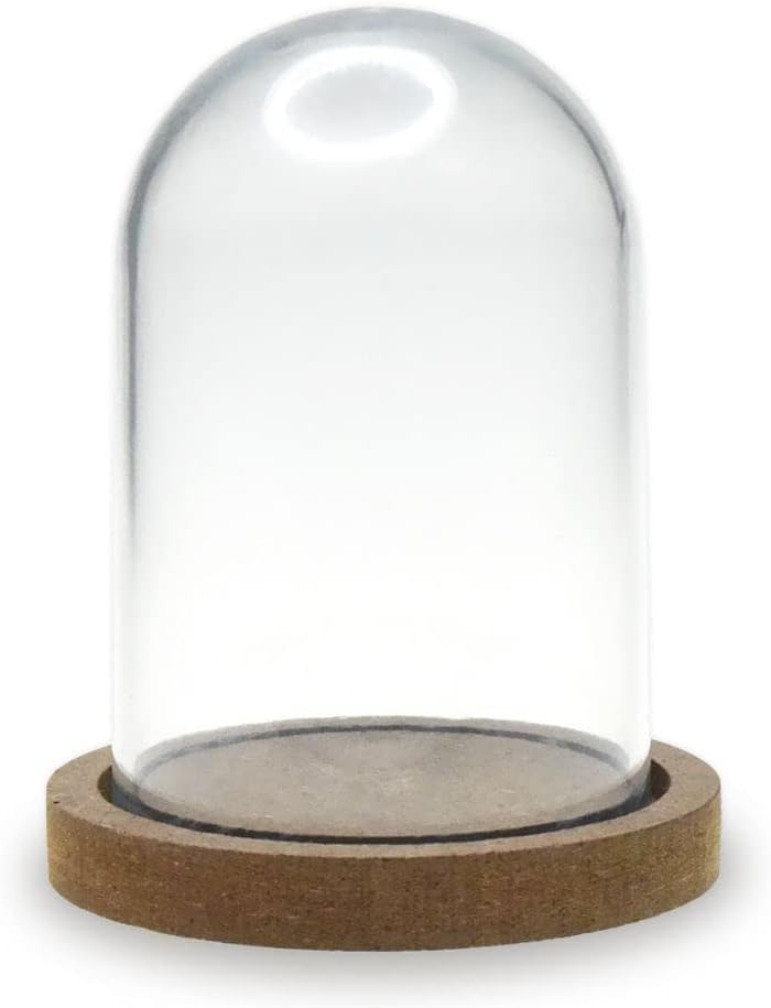 Terrarium Plastic Clear Dome with Wood Base - DIY Crafts - 3.14 Inches Tall