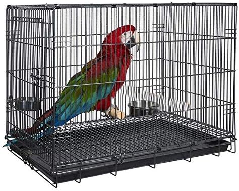 Large Easy Portable Durable Metal Travel/Veterinary Parrot Bird Carrier