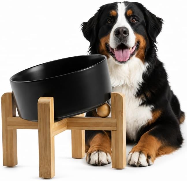 hjn Elevated Ceramic Dog Bowl 15°Slanted Raised Dog Bowl with Bamboo Stand for Small Medium Dogs and Cats, Pet Feeder -7