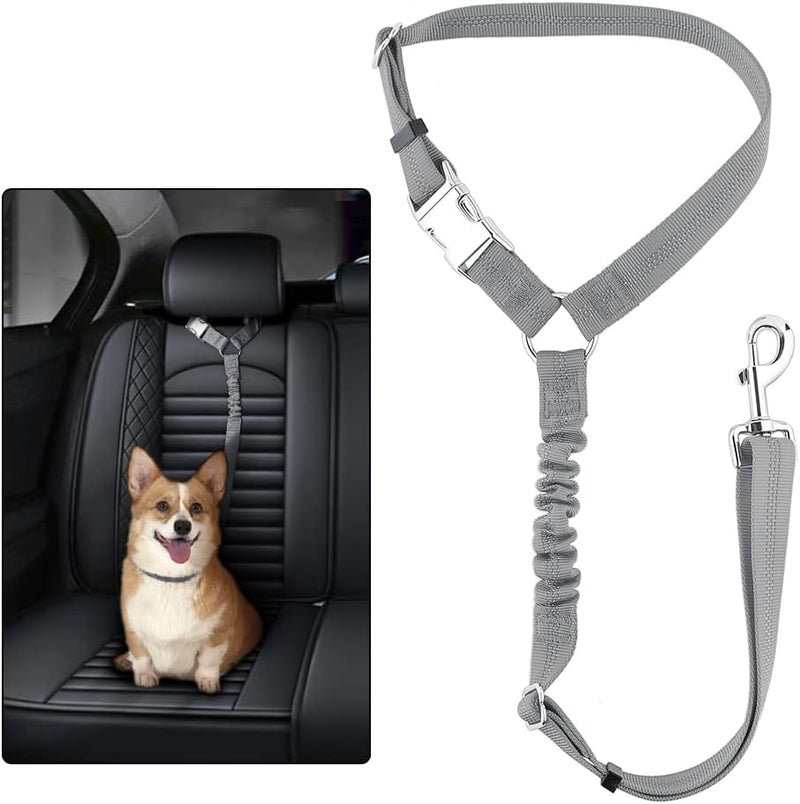 Plutus Pet Dog Seat Belt for Car Headrest, Reflective with Elastic Bungee