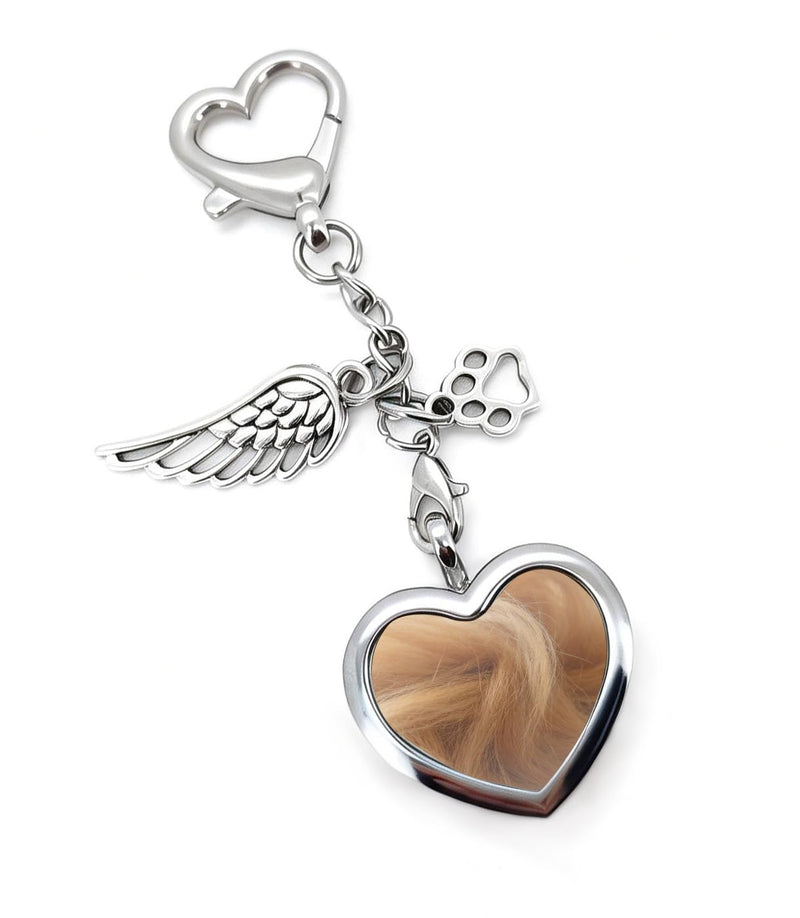 CYLDGNS Pet Fur Memorial Keychain, Lock of Fur Hair Key Chain, Pet Remembrance Key Ring, Stainless Steel Glass Pet Loss Gift for Grieving Pet Owners, Holds Dog or Cat Hair