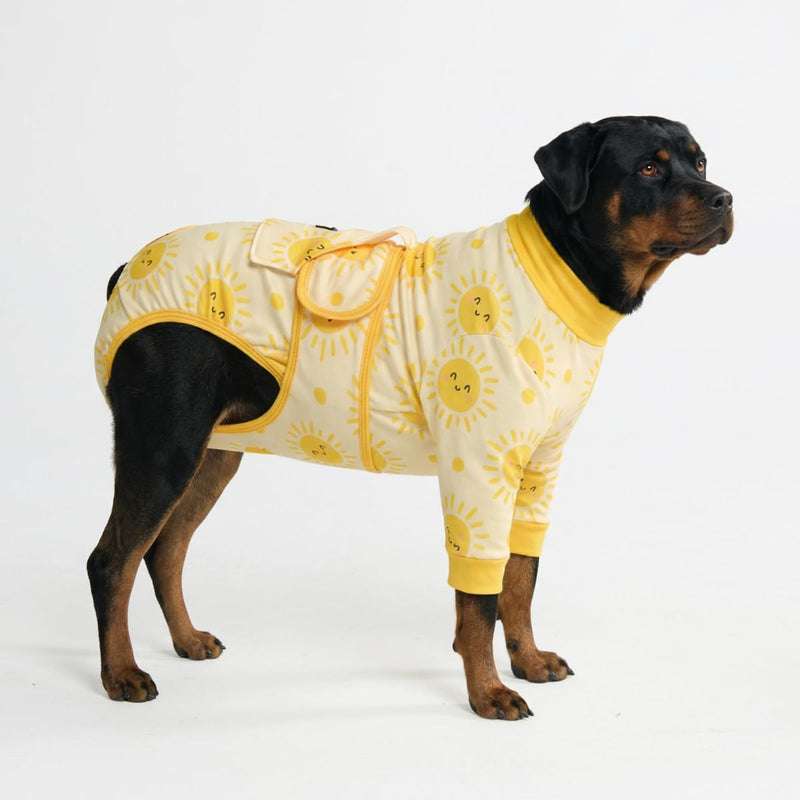 Spark Paws Dog Surgery Recovery Suit – Dog Recovery Suit After Surgery, Anti-Lick Dog Onesie, Abdominal Wound Protector, Soft Cone Alternative for Spay Neuter Male Female Pet Recovery- Sunshine - 4XL