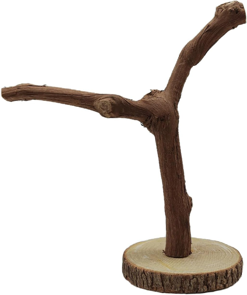 BNOSDM Reptile Grapevine Wood Lizard Natural Wood Climb Tree Branch Decor
