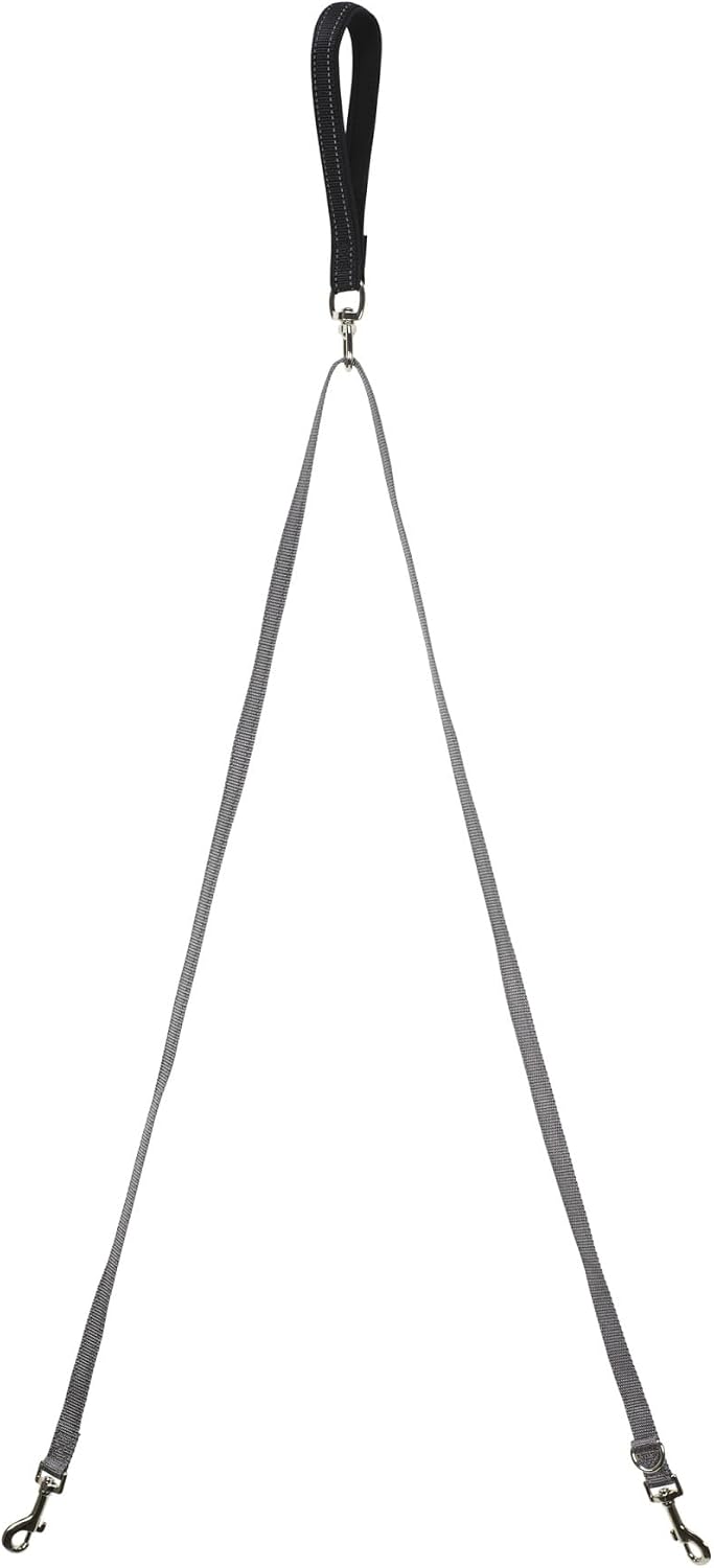PetSafe Two Point Control Dog Leash, 3/4 in