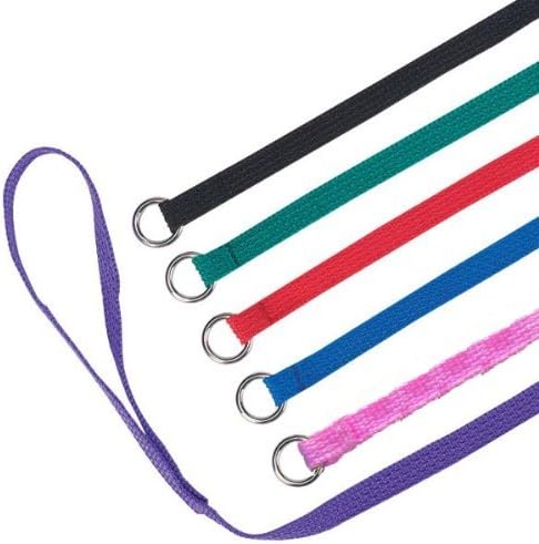 Downtown Pet Supply Slip Lead Dog Leash 6 Pack, 4' x 1/2