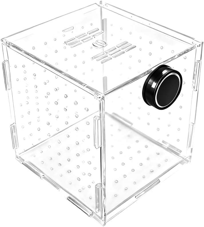 Fish Breeding Box, Acrylic Fish Isolation Container Aquariums Incubator with Magnetic Fixing for Fishes Shrimps