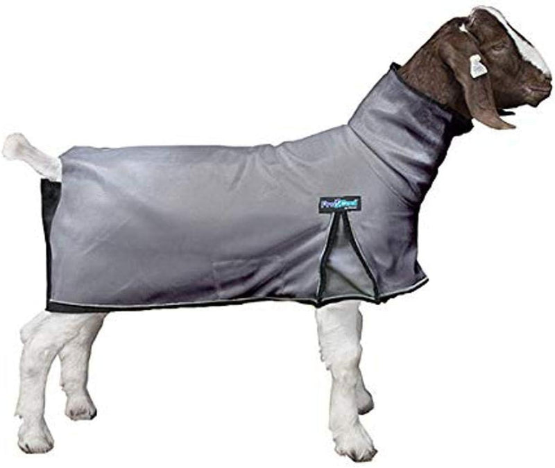 ProCool™ Goat Blanket with Reflective Piping, Extra Large, Gray