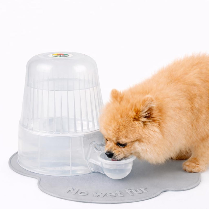 vidamansa Pet Water Dispenser for Dogs and Cats, 67.6 oz – Gravity-Fed Water Bowl for Clean Drinking, Prevents Wet Fur, BPA-Free Polypropylene, (Clear)