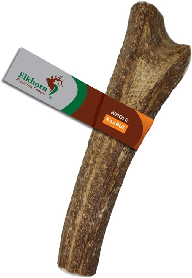Elkhorn Premium Chews – X Large Whole Single Elk Antler Chew (7-10” Long)