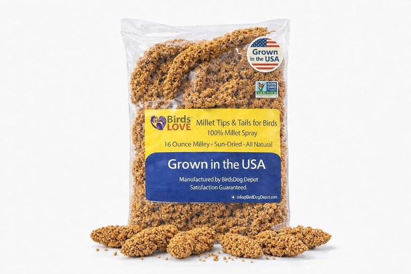 Birds LOVE® Millet Tips & Tails for Birds – Premium Spray Millet Treat, Grown in the USA – Natural & Healthy Bird Food for Parakeets, Cockatiels, Budgies, Lovebirds, Finches, Canaries & Parrots – 1 lb