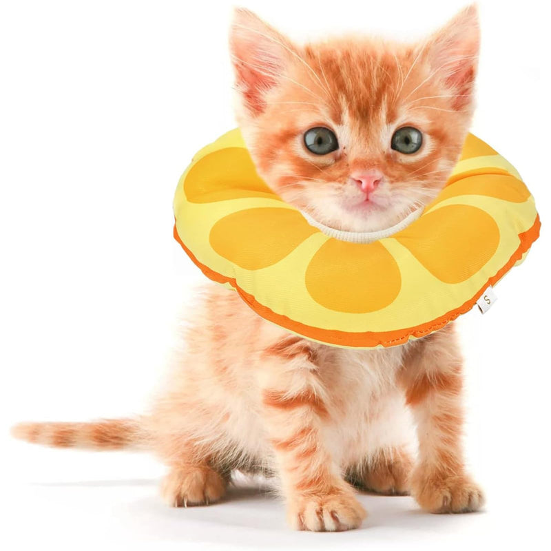 Jevnd Kitten Cones After Surgery 0-6 Months, Donut Extra Small Kitten Cone Collar Soft to Stop Licking Neck, Elizabethan Kittens e Collar for Recovery, xs Small Cat Cone Spray, Pet Soft Cone for Cats