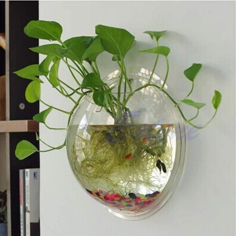 Wall Mounted Plant jar, can Hang Flower vases for wall Decoration, shatterproof Round Acrylic jar Bowl, Suitable for Hom
