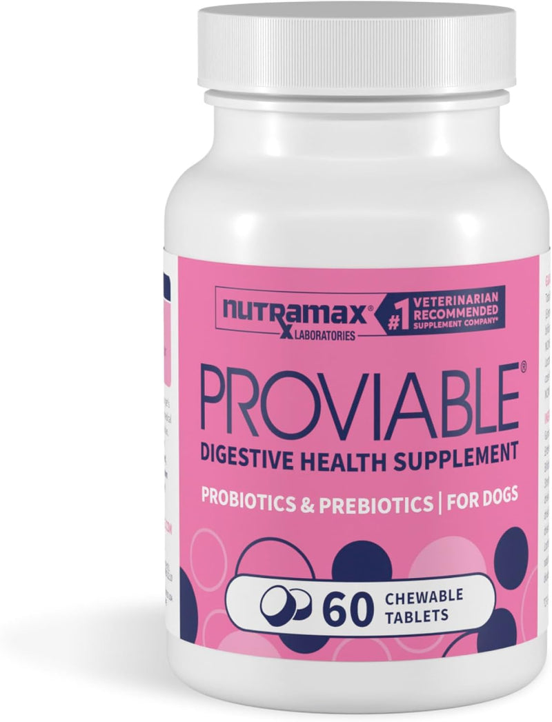 Nutramax Proviable Probiotics + Prebiotics for Dogs, Chewable Tablets, 60ct