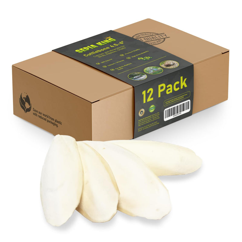 Sepia King - Medium - 100% Natural Calcium Supplement - Premium Cuttlebone Perfect for Birds, Tortoises, Snails, Reptiles - 12 Pack