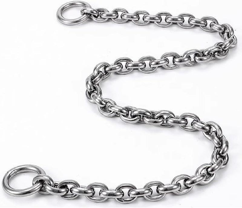 Dog Choker Collar Slip Chain,Stainless Steel Collar for Medium and Large Dogs Heavy Duty,Dog Training Metal Necklace,Sil