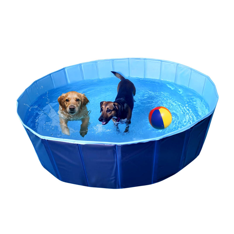 Consumable Corner - Collapsible Dog Swimming Pool - for Swimming & Bathing - Built-in Drain Plug - Hard Plastic, No Inflation Durable - Safe for All Dogs - 55”D x 12”H - Blue - 1 Pool