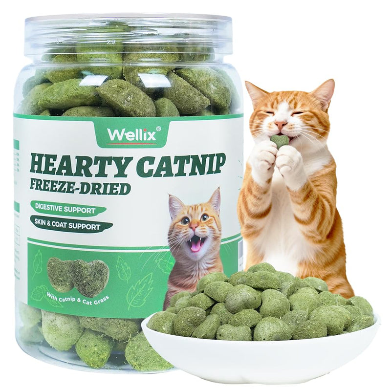 Wellix Catnip Treats Freeze-Dried Cat Treats, Grain-Free Snacks with Chicken, Cat Grass & Catnip for Cats Digestive Support Healthy Skin&Coat, Healthy Feline Training Treats for Indoor Cats, 3oz
