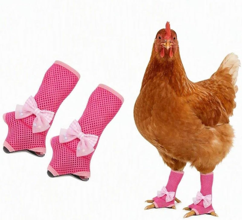 Chicken Shoes for Injured Feet,Cute Bow Design,Comfortable Poultry Footwear,Anti-Slip and Breathable,Chicken Sandals for