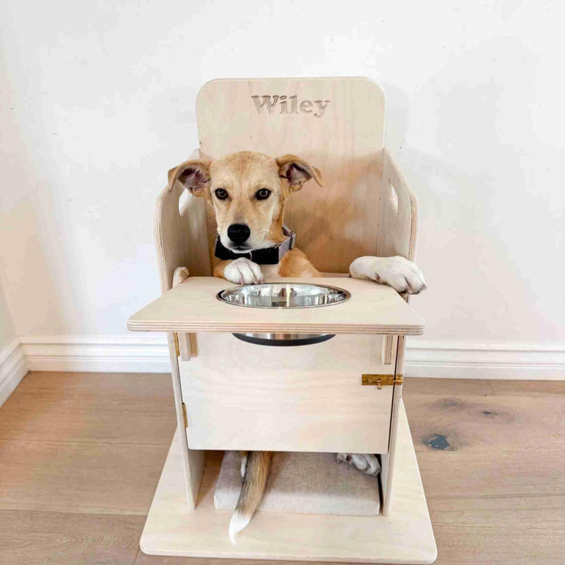Bailey Chair for Dogs – Adjustable Wooden Dog Feeding Chair with Tray, Upright Feeding Support for Megaesophagus & Other Needs, Handmade Birch Plywood Pet Chair (Small)