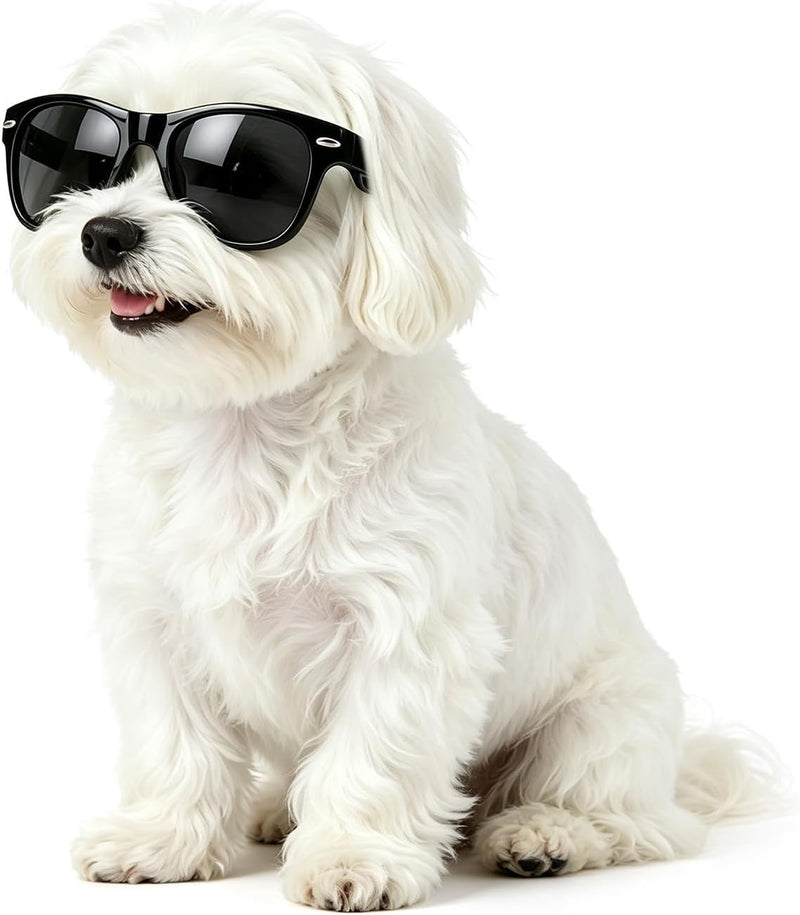 Dog Sunglasses UV Wind Dust Protection Pet Glasses with Adjustable Strap Party Cosplay Costume Photo Props for Small Dog