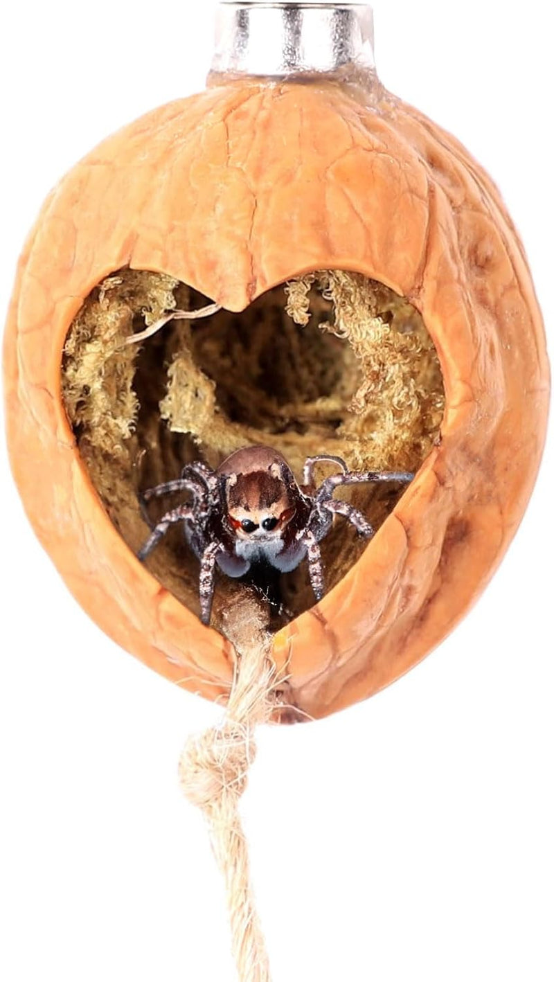 Jumping Spider Hide, A Real Shelter Made of Walnut Skin, Magnetic Hidden Jumping Spider Habitat,Handmade Spider Enclosur
