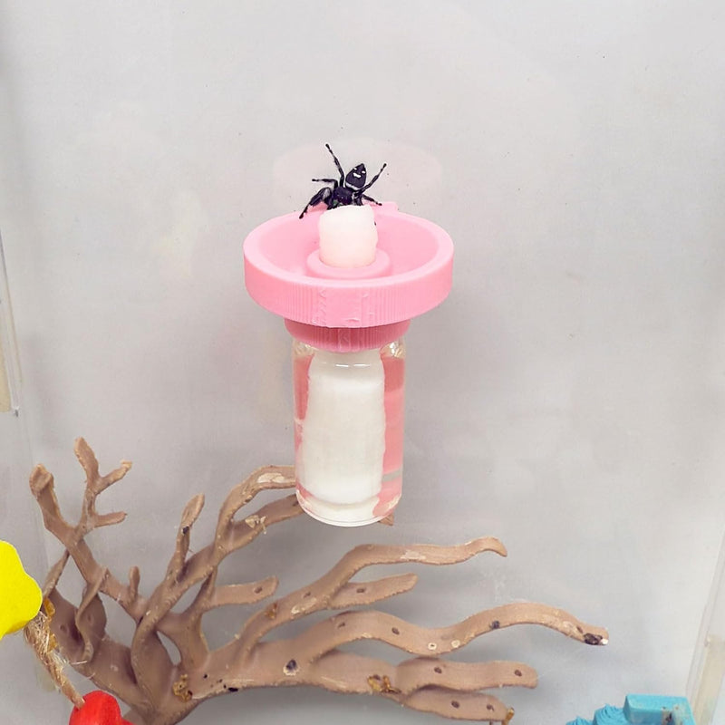 Jumping Spider Water Dispenser, Magnetic Hanging Feeder,Suitable for Jumping Spiders,Tarantulas, Praying Mantises,Arbore