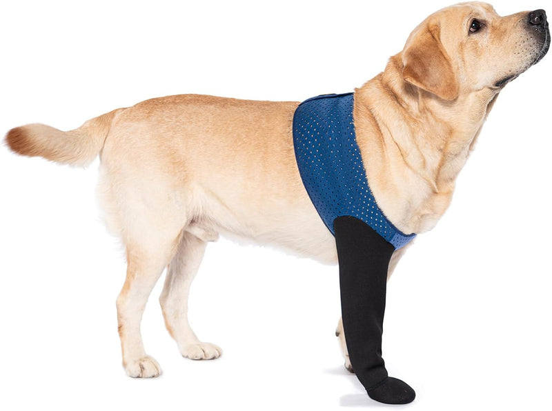 COODEO Dog Socks to Prevent Licking Paws, Healing Boots & Paw Protectors with Non-Slip Bottoms for Wound Protection, Wat
