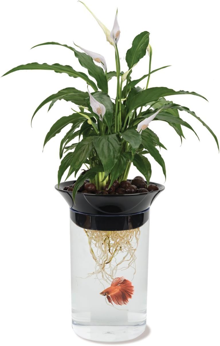 Penn-Plax (APON1) Aquaponic Planter and Aquarium for Betta Fish Tank Promotes Healthy Hydroponic Environment for Plants