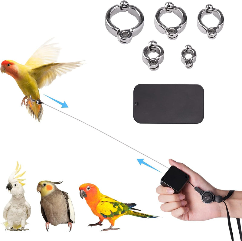 Bird Leash, with 5 Different Size Foot Ring and Feeder Box, Retractable Anti-Bite Parrot Harness, Bird Flight Training R