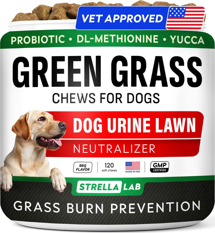 STRELLALAB Dog Pee Grass Chews - Urine Neutralizer for Green Grass Burn Spots - Grass Treatment for Pet Urine - Green Lawn Chews for Dogs with Probiotics - Made in USA (120Ct)