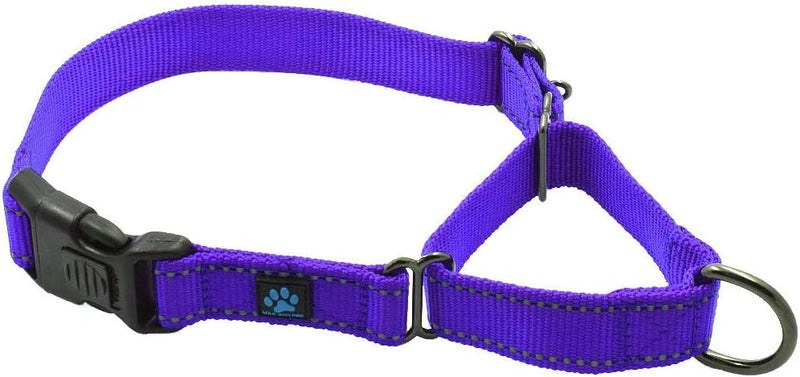 Max and Neo Nylon Martingale Collar - We Donate to a Dog Rescue for Every Collar Sold (Medium, Purple)