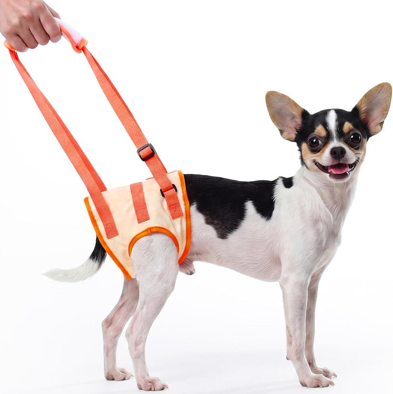 Allroaring Dog Lift Harness with Soft Pads, Orange, S