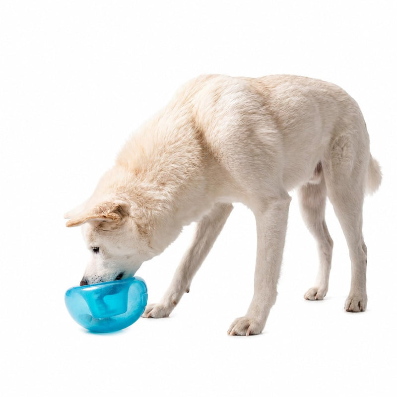 Outward Hound by Planet Dog Snoop Dog Toy – Treat‑Dispenser Puzzle Ball, Interactive Slow Feeder, Medium to Large Dogs, Bouncy & Mint-Infused, Blue, 5