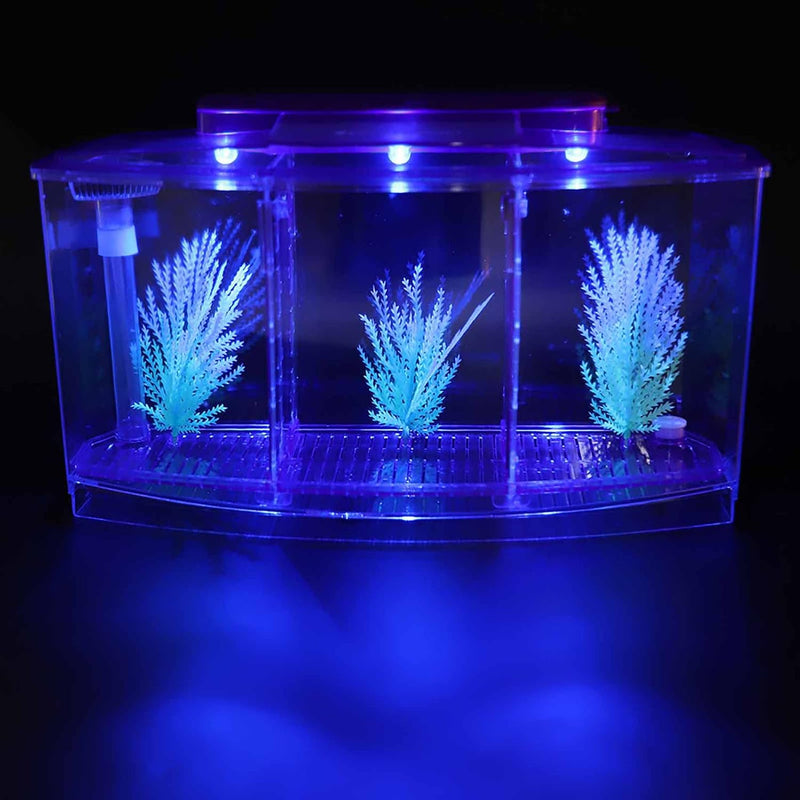 Aquarium Fish Led Light Kid Friendly Small Fish Three Divisions Breeding Isolation Mini Aquarium komplettset LED Acrylic