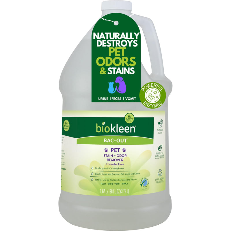 Biokleen Bac-Out Pet Stain Remover - Enzymatic, Natural, Plant-Based Destroys Stains & Odors, Safe for Surfaces & Fabrics, Carpet Cleaner - Eco-Friendly, Lavender Lime Scent, 1 Gallon