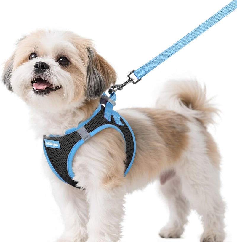rabbitgoo Dog Harness Small Sized and Leash Set, Step in Soft Vest