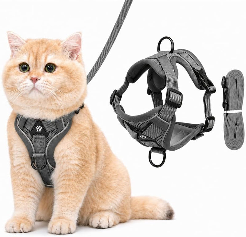 Soft Cat Chest Harness and Leash, Escape-Proof Step-in Lock Kitten Harness, Comfortable Cat Vest with Reflective, Easy t
