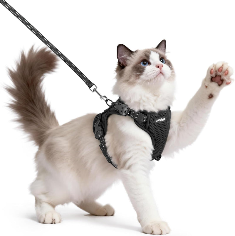 rabbitgoo Cat Harness and Leash, Easy-on with Neck Buckle