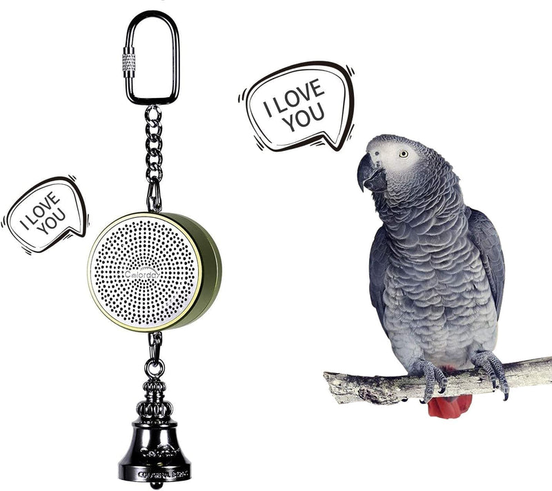 Colorday Bird Toys Parrot Talking Coach & Interactive Voice Bell for Parakeet, African Grey, Parrots, Quaker, Cockatiel,