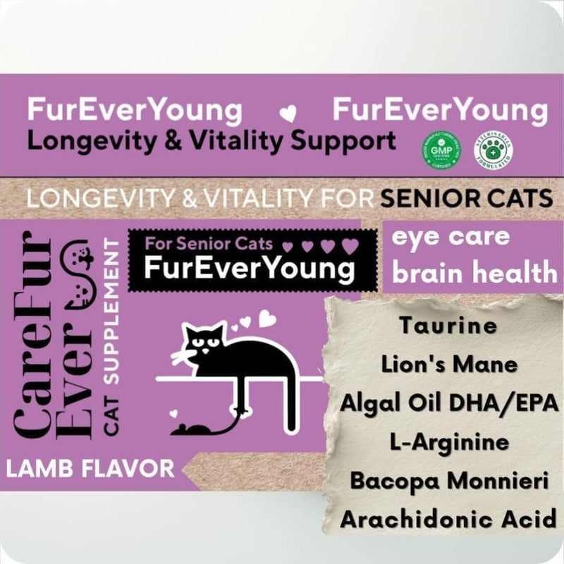 Supplement Treats for Senior Cats ~ Vision & Brain Longevity | Premium Feline Supplement | Functional Mushroom Complex + Taurine | Vet-Formulated with DHA, Arachidonic Acid & L-Arginine