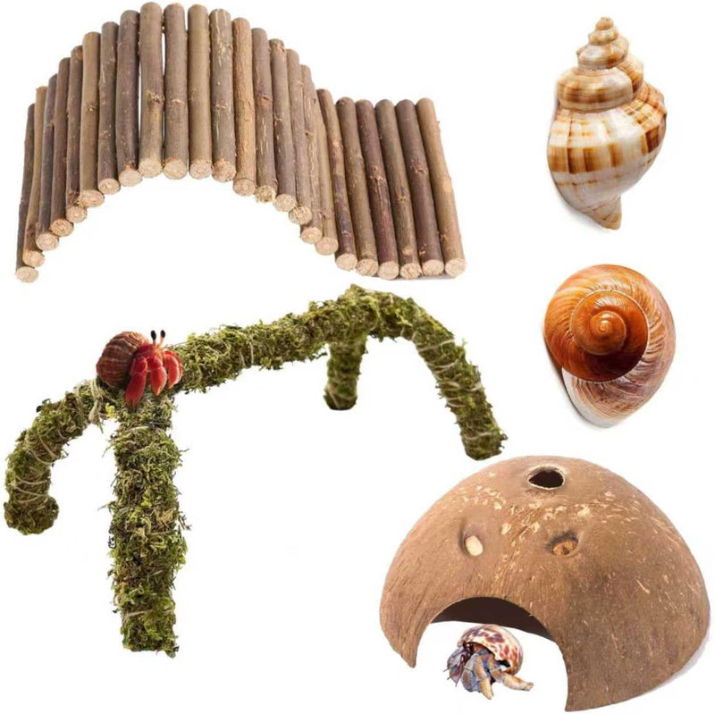 Hermit Crab Accessories β 5PCS Natural Hermit Crab Toys Climbing Bridge, Shells, Coconut Hideout, Moss and Plants for He