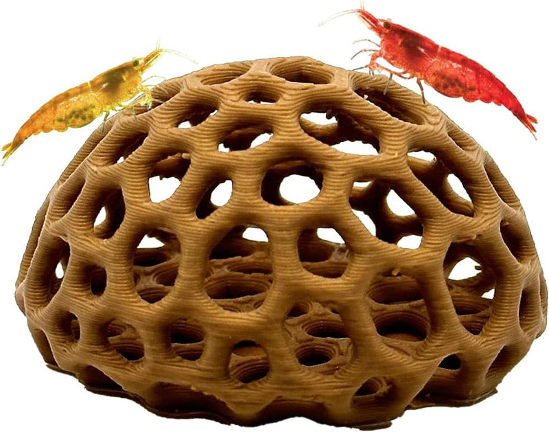 CTWPets Shrimp Dome Hide, Aquarium Cave for Cherry Shrimp