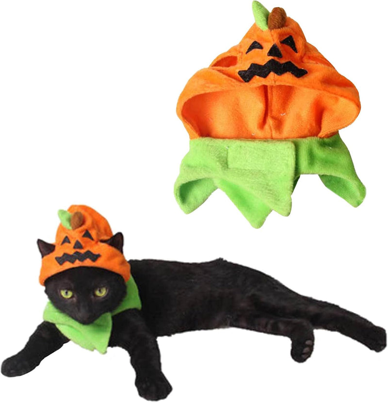 Orgrimmar Halloween Pumpkin Kitty Cat Hat Cosplay Cap Collar Costume Cute