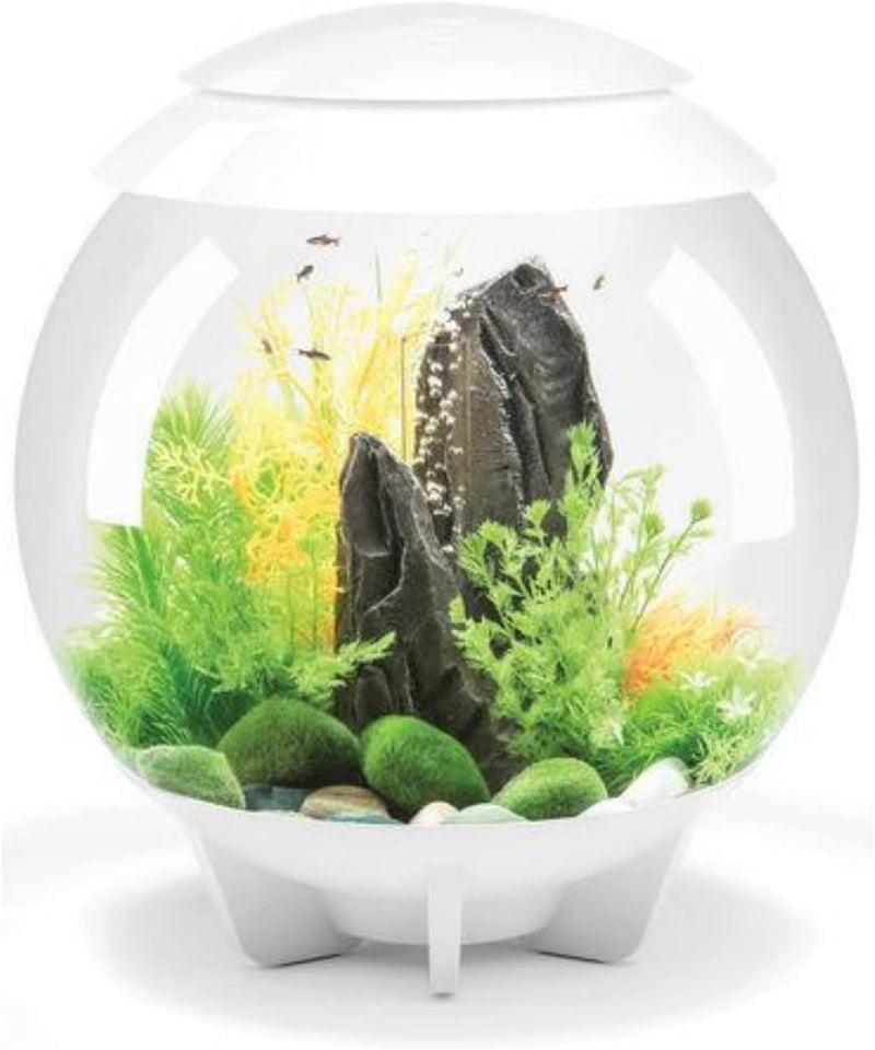 biOrb Halo 30 Acrylic 8-Gallon Aquarium with Multi-Color Remote-Controlled LED Lights Modern Tank for Tabletop Display,