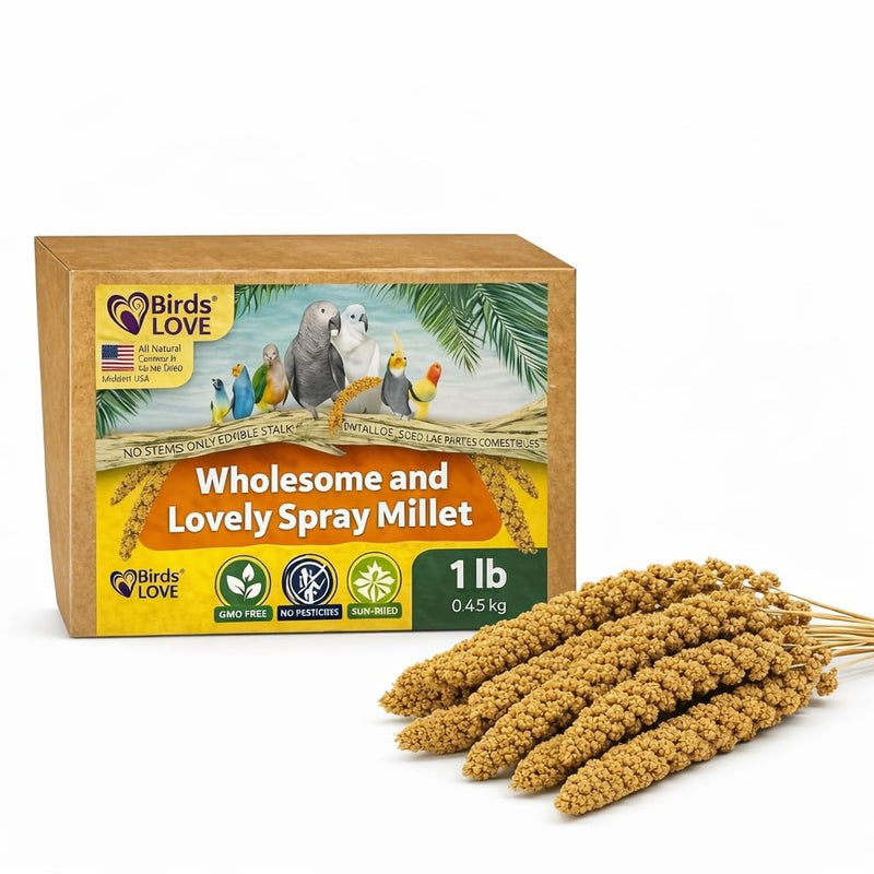 Birds LOVE 1 LB Wholesome Spray Millet for Birds – USA Grown, Natural Sun-Dried Millet Sprays – Thick Seed-Rich Clusters for Parakeets, Budgies, Cockatiels, Conures, Finches & Parrots