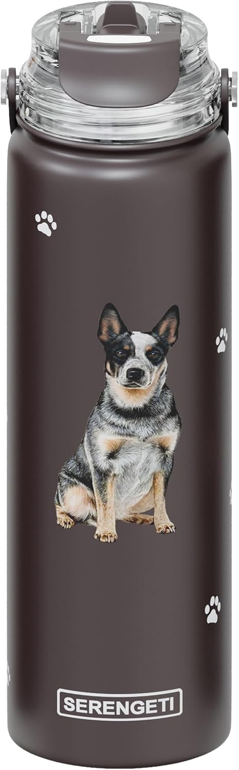 SERENGETI 24 Oz Water Bottle Stainless Steel with Spill Proof Lid - Double walled Vacuum Insulated water flask - Realist