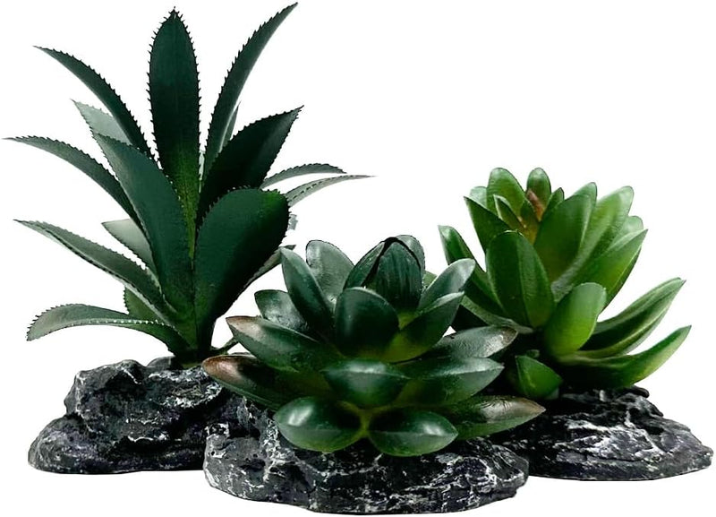 Reptile Artificial Plants Succulent Terrarium Decor Desert Rainforest Plant Lizard Beard Chameleon Gecko Snake Amphibiou